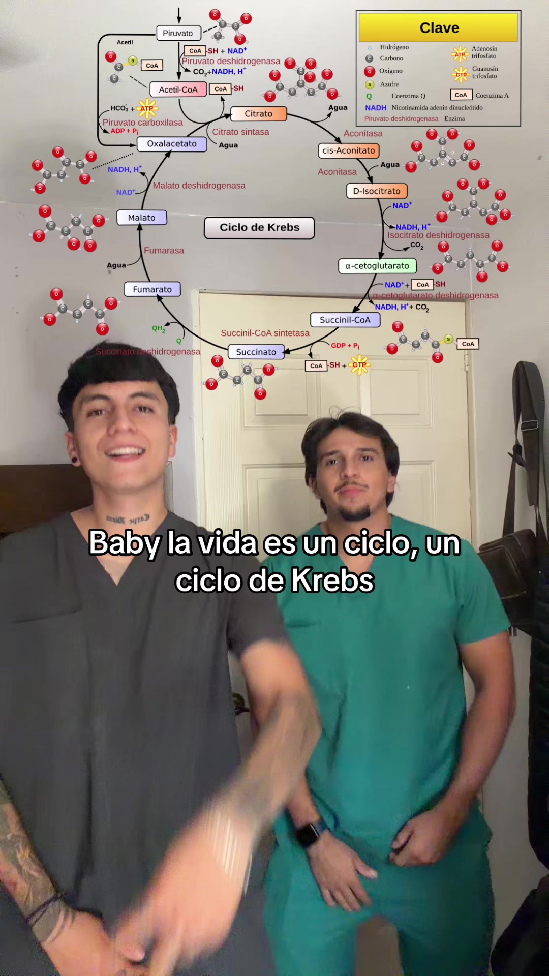 @ENDOBOY