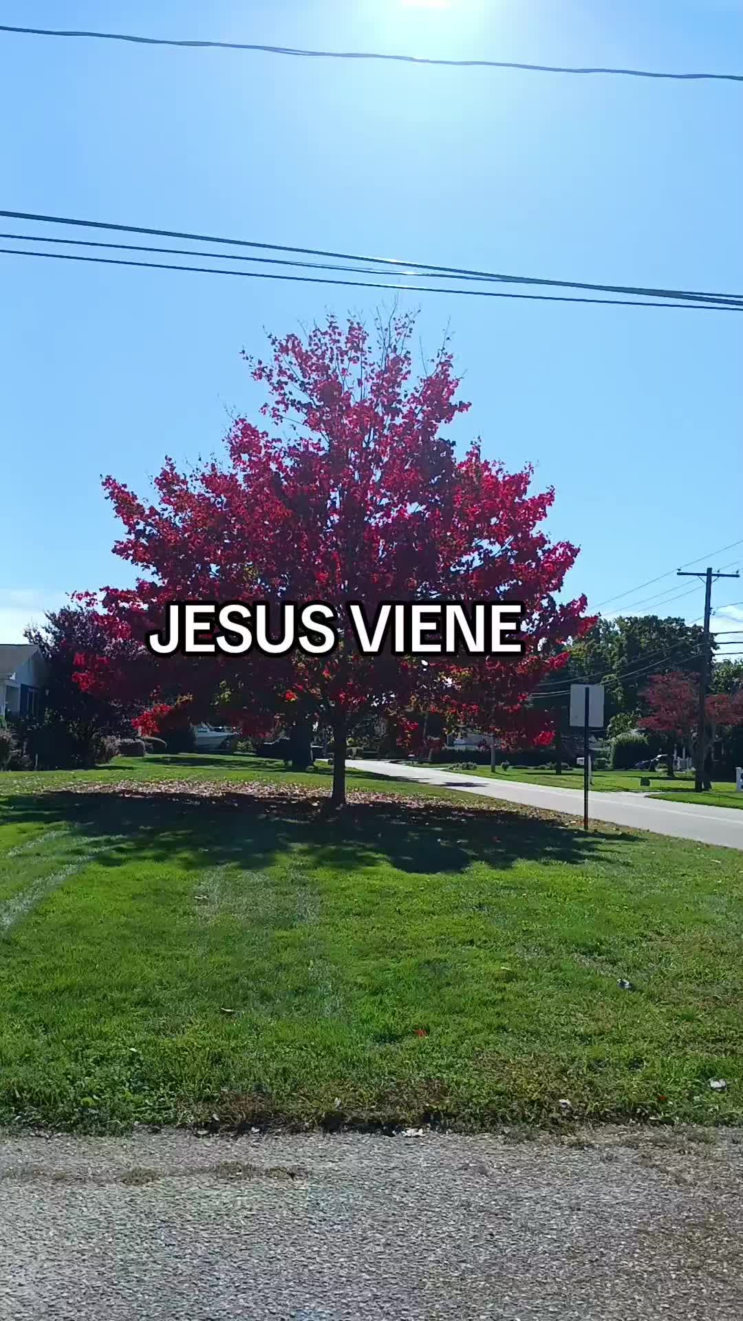 @sarahi