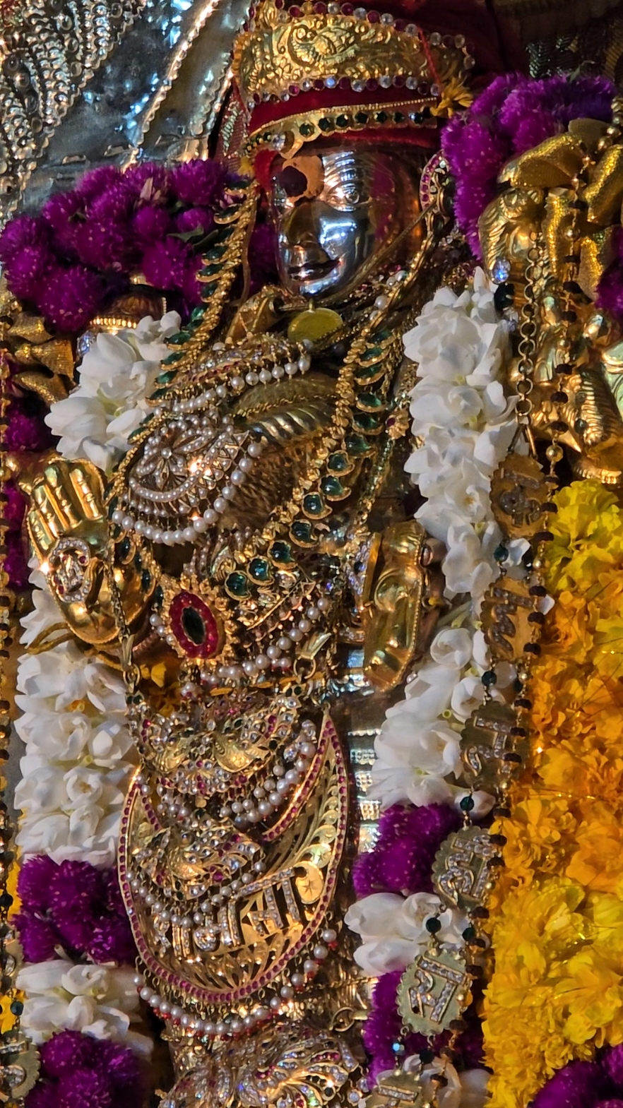 @Bavanujan🤵🏻&zwj;♂️