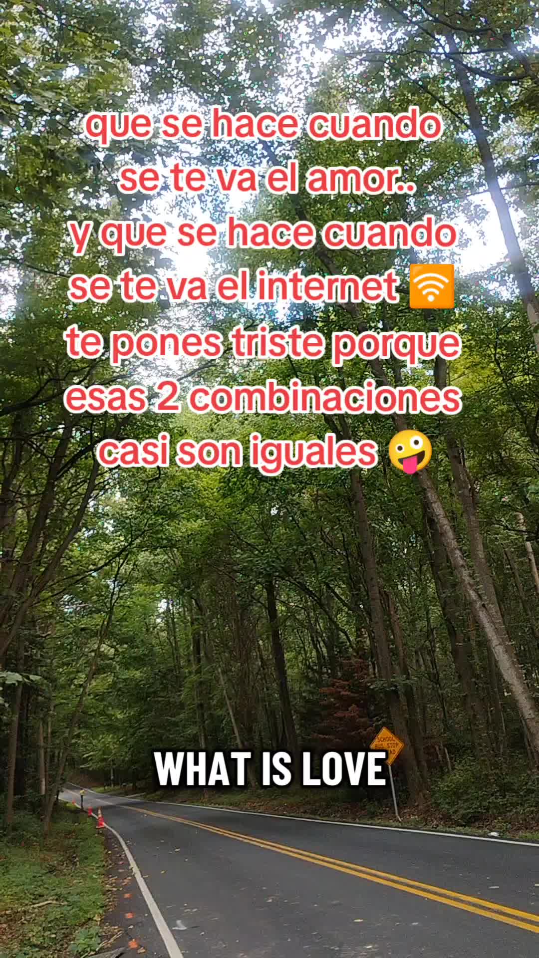 @😾🌻ELGATORIVAS79🐶🐴🐦