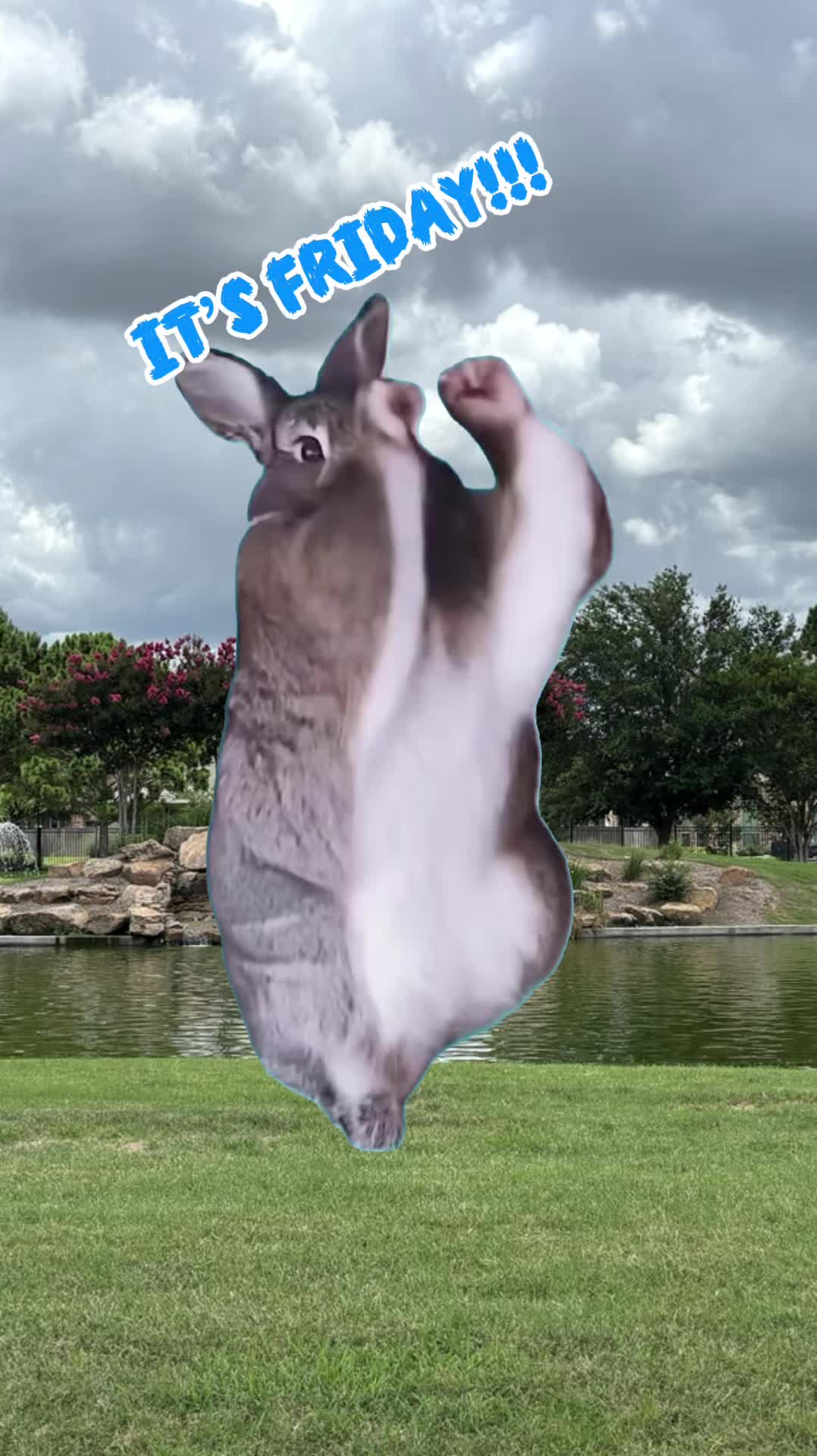 @๐ฆ๐บRdzMari๐ท๐ฆ