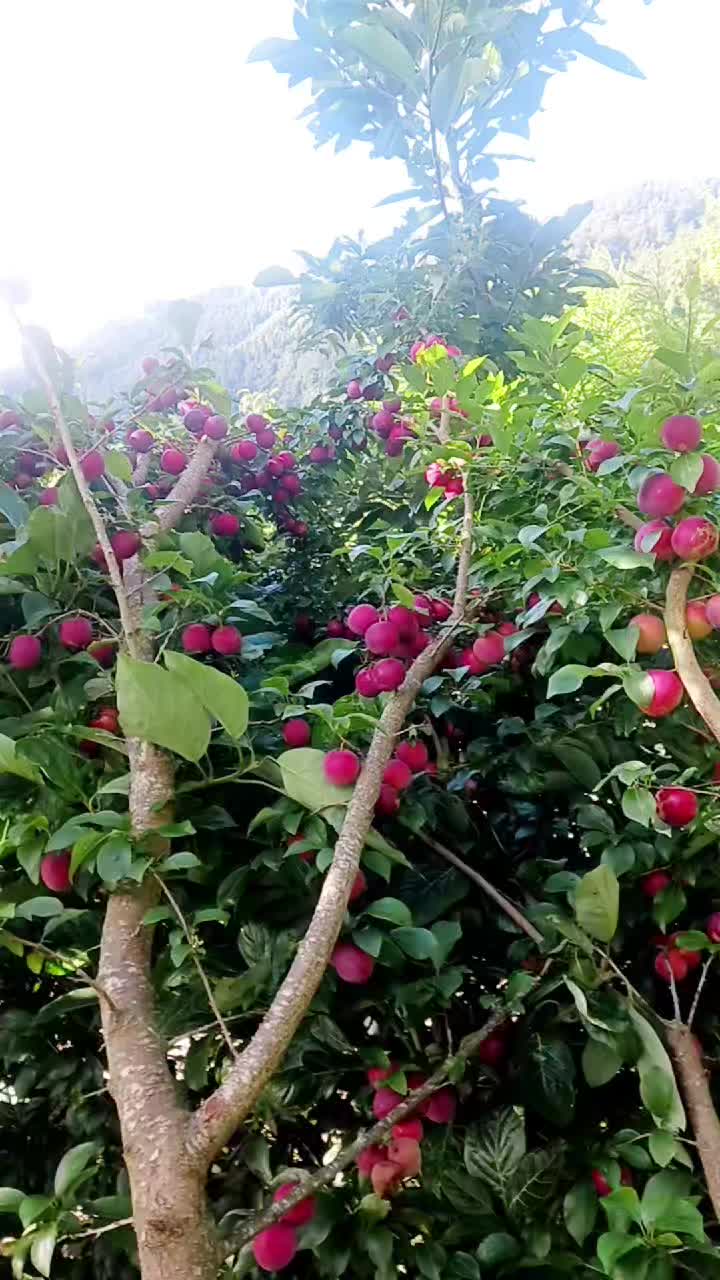 @martinmmm777