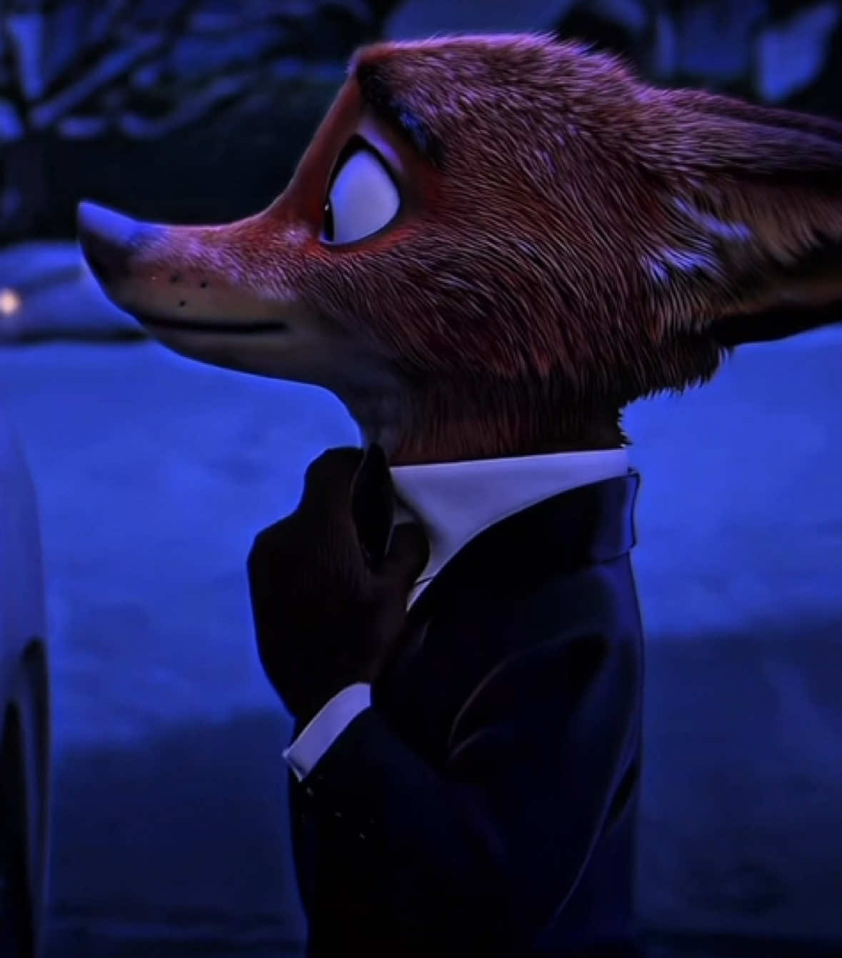 @𝑩 𝑶 𝑶 𝒅 𝑵 𝒀 🦊
