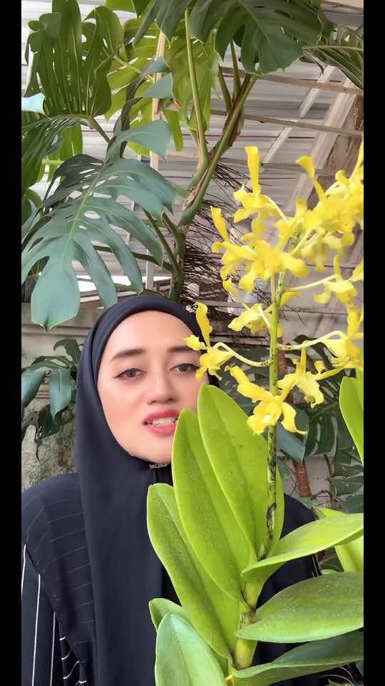 @Anggina Orchid