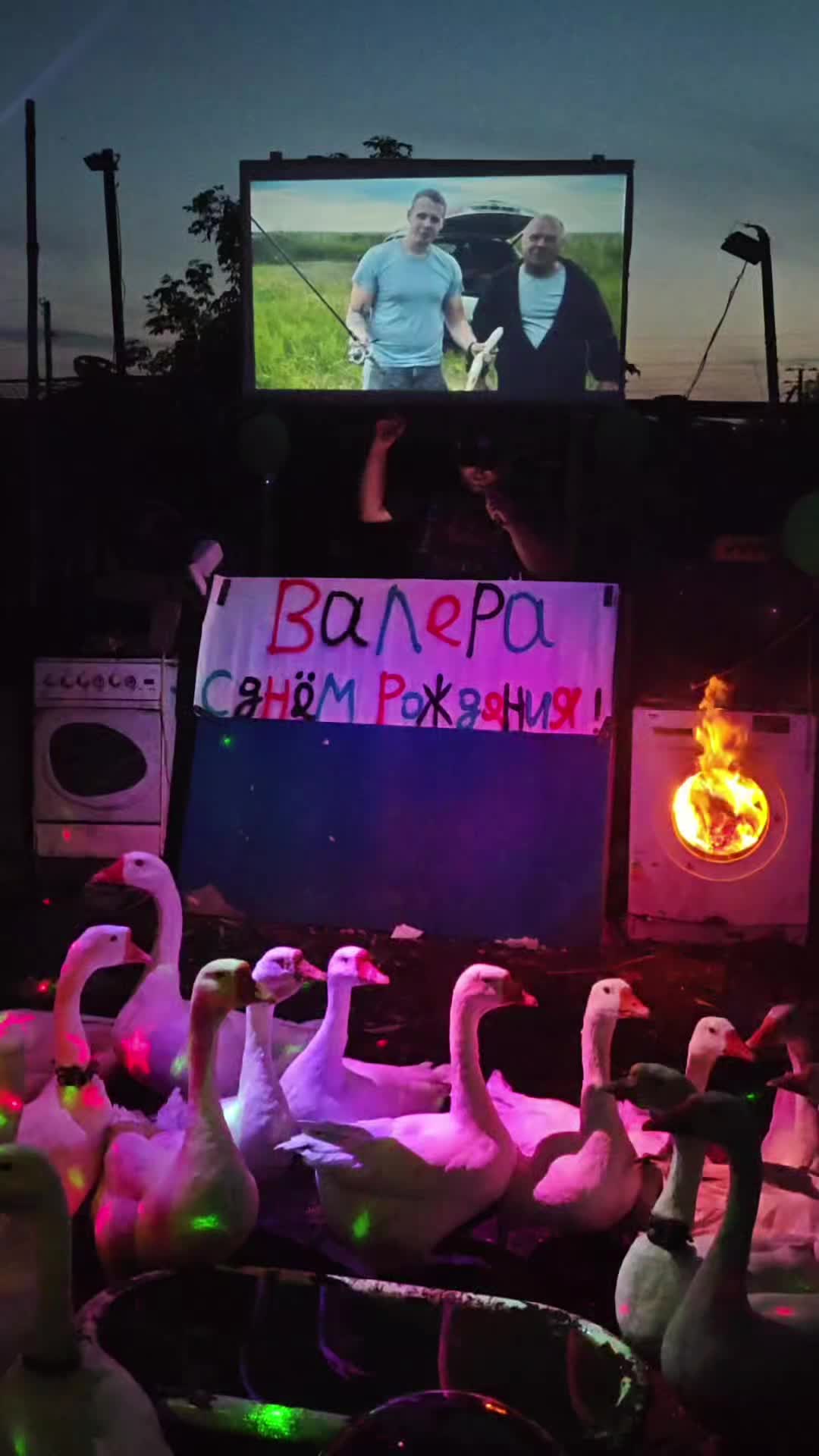 @Гусиные поздравления