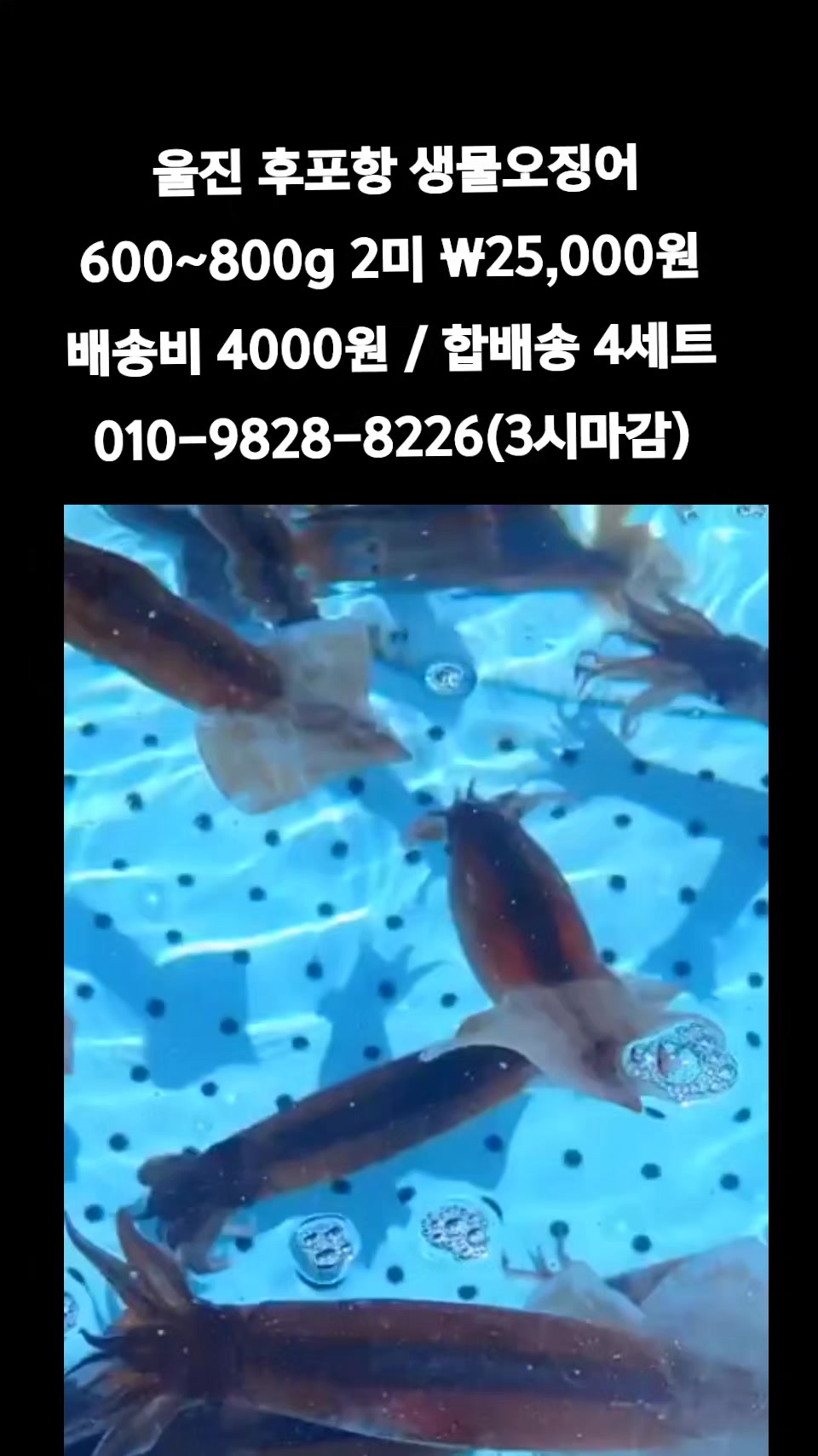 @똑손