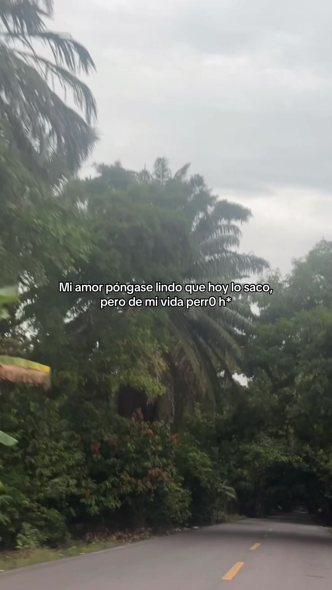 @Lady Contreras