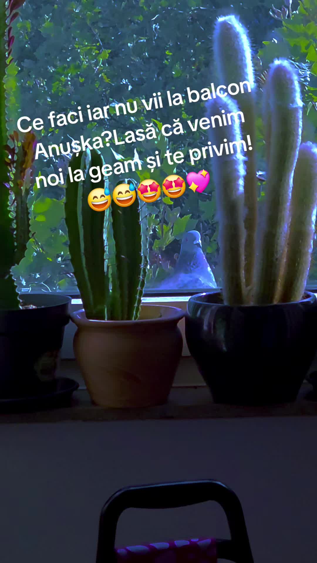 @🇩🇪🦉🖤Anușka🖤🦉🇷🇴