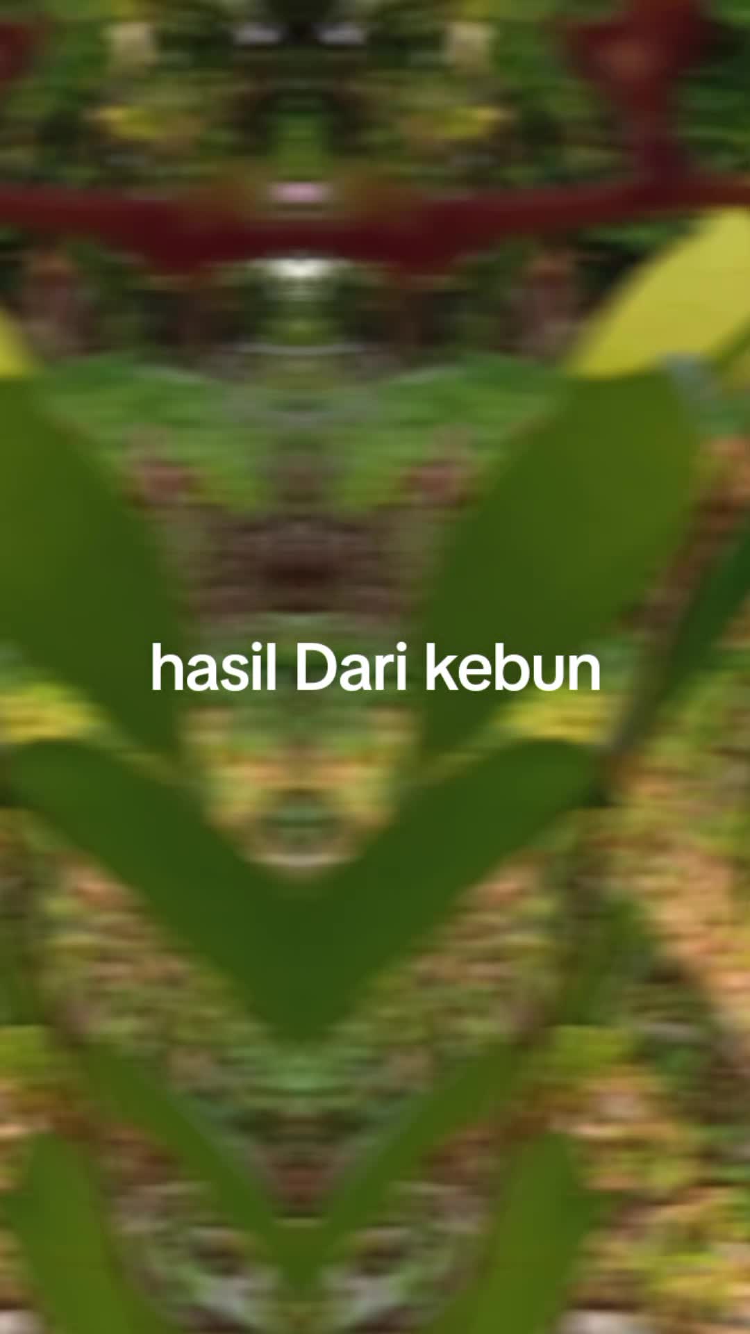 @CIKNEY CANTIK