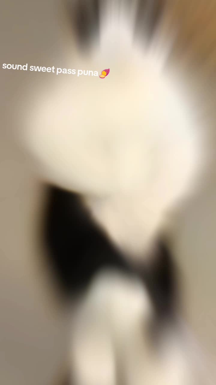 @๐ธ๐๐๐๐ ๐ฝ๐๐๐๐ ๐ฏ๐ฅ๐๐