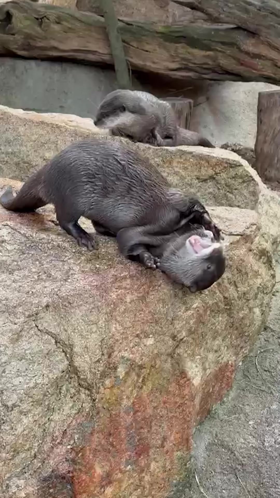 @Perth Zoo