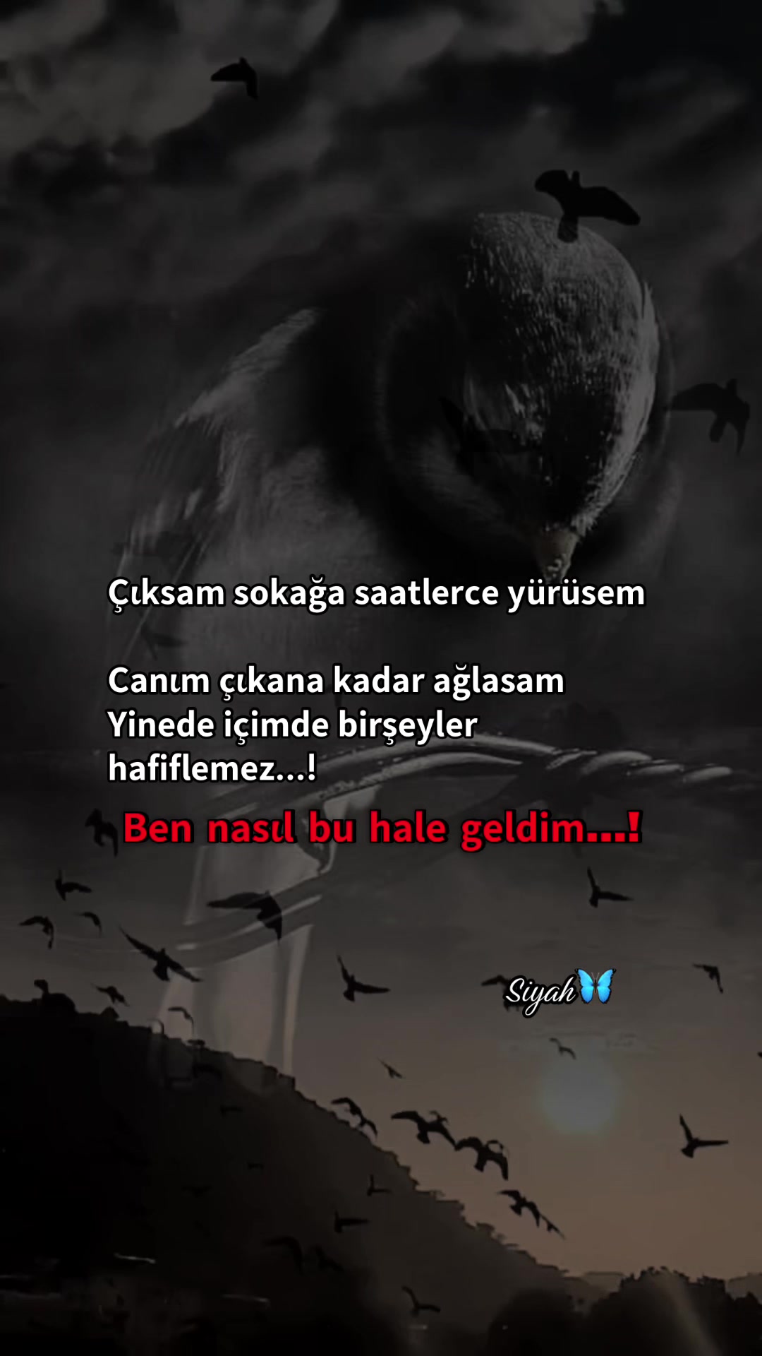 @𝗦𝗶𝘆𝗮𝗵🦋