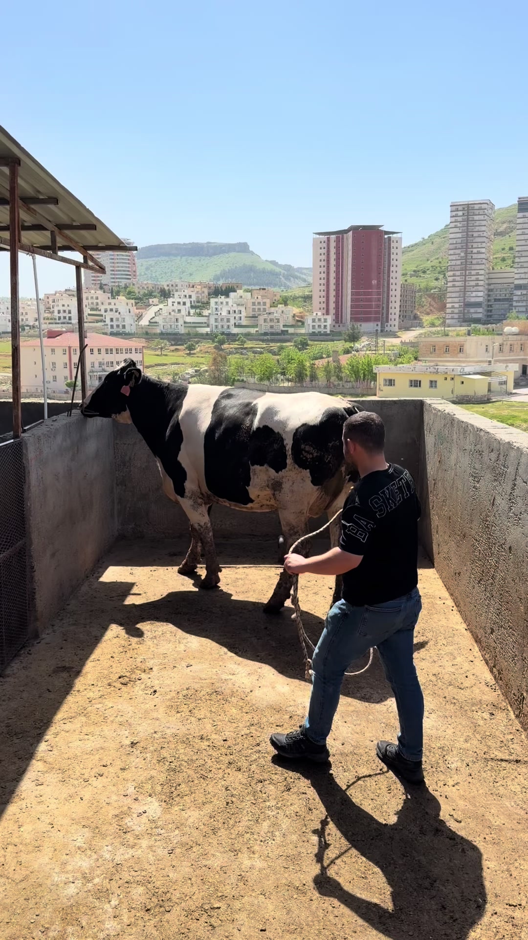 @Sefa cırık