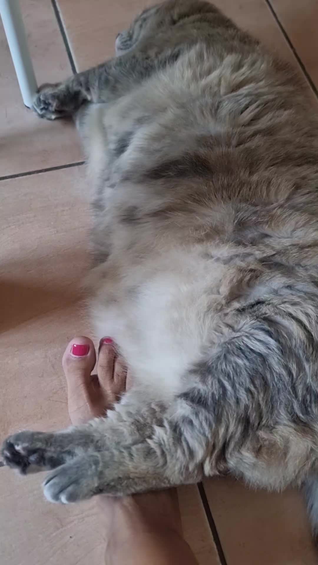 @Marzia Panzani