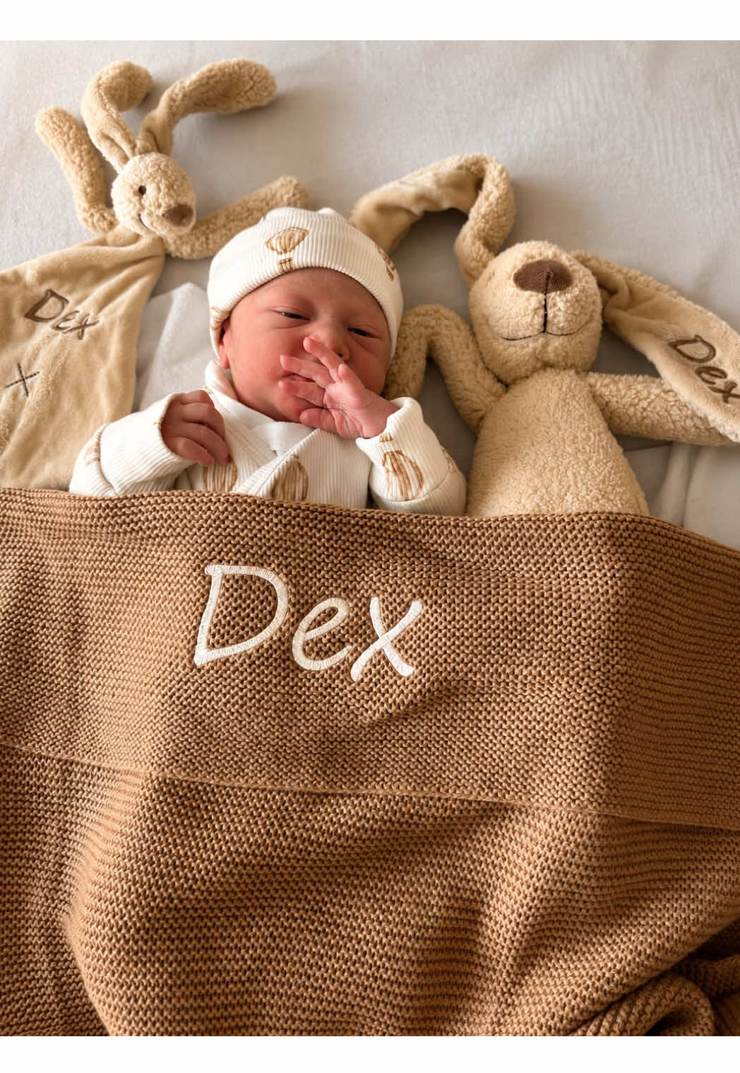 @Sanne | mommy of Dex๐ฉต๐งธ