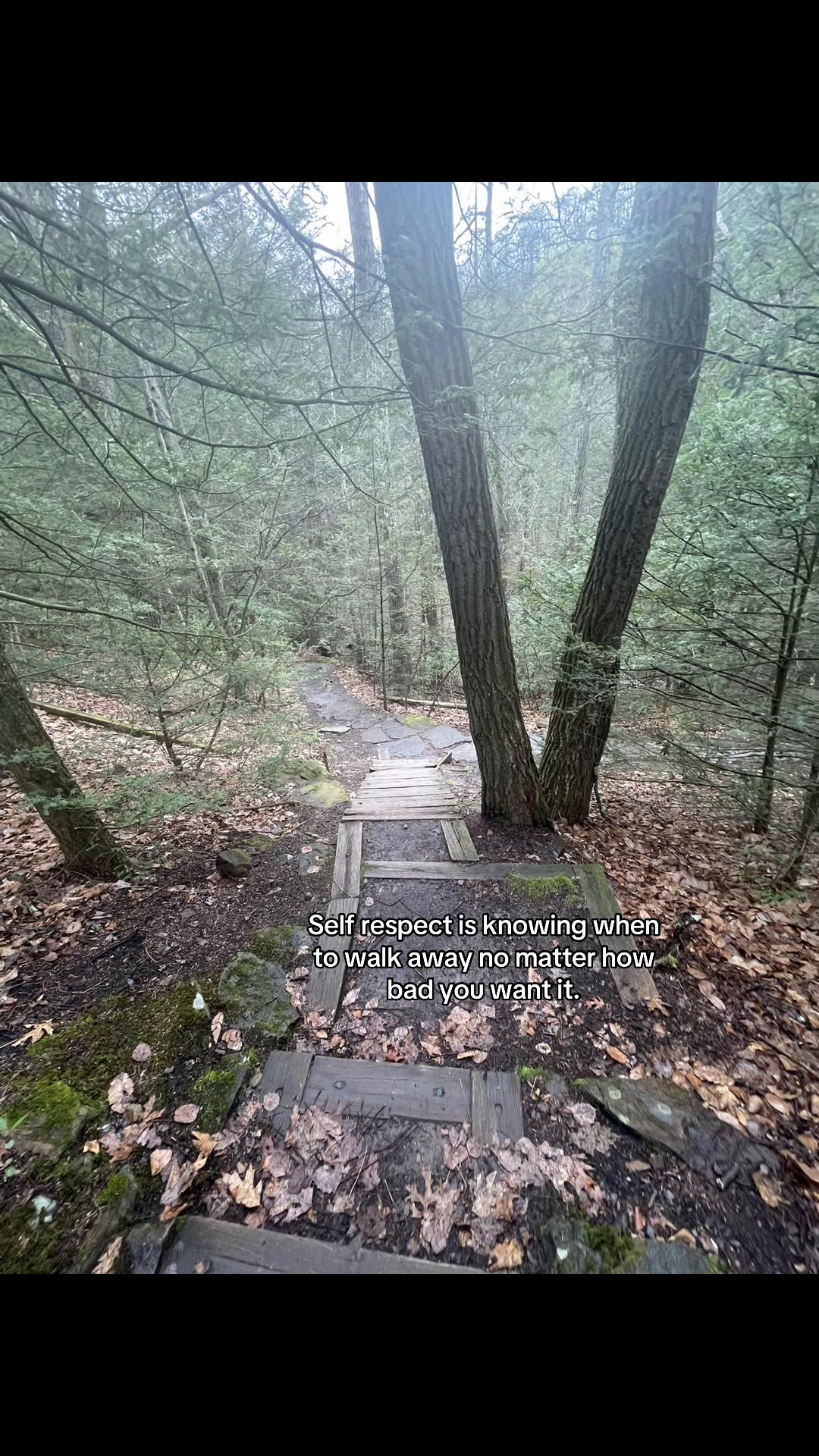 @Sad_user