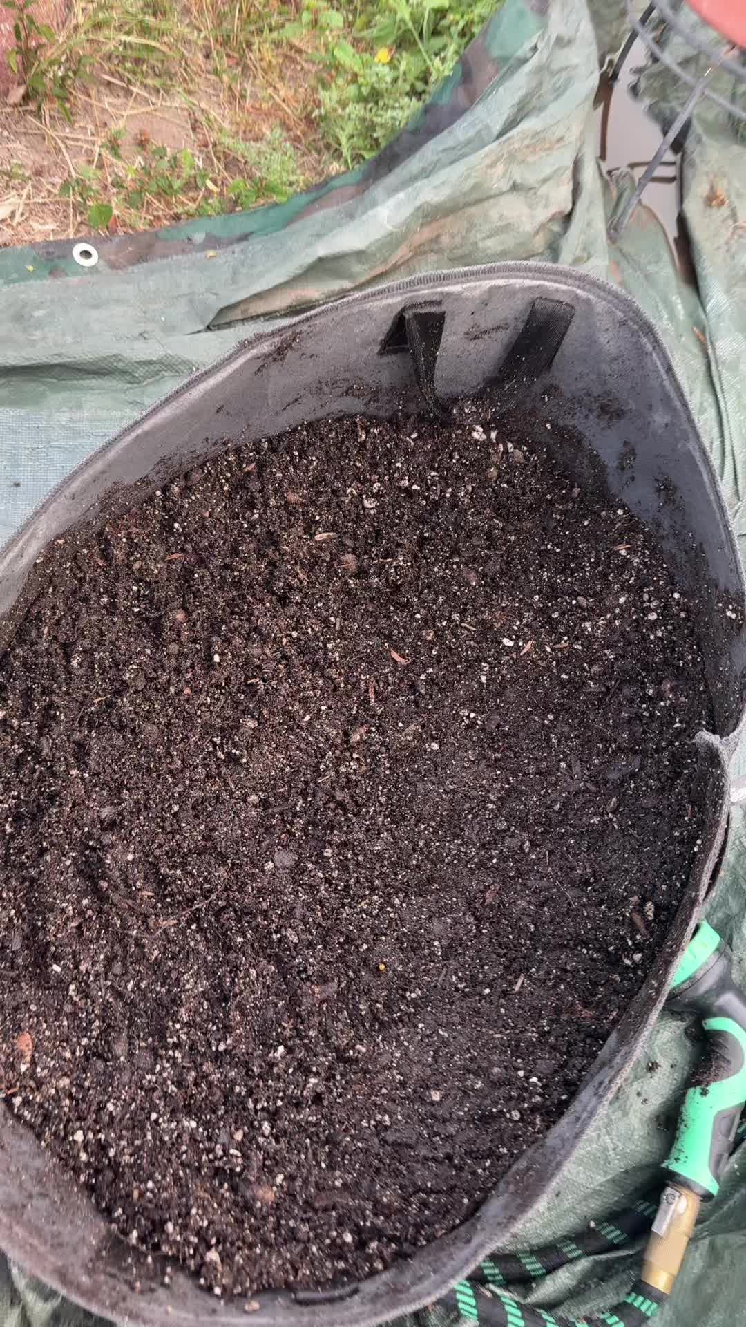 @themagicvalleygardener