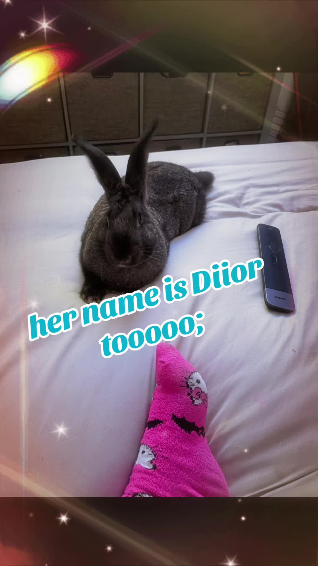 @DiiorMiiStash