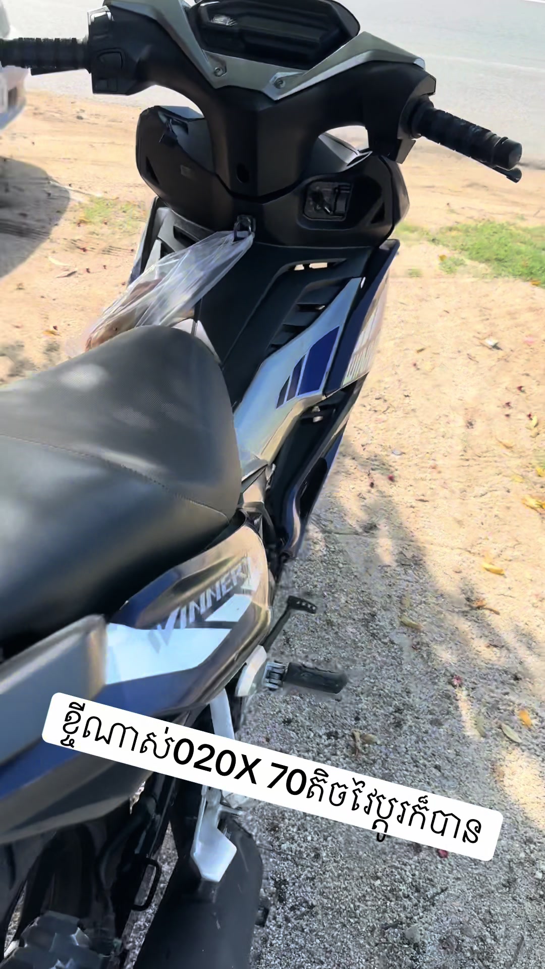 @fbbrotoro1