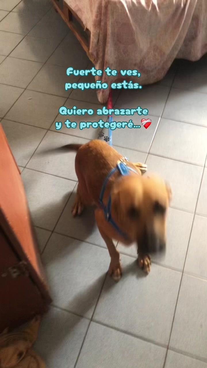 @️ 𝓒𝓸𝓬𝓸🥥🦋