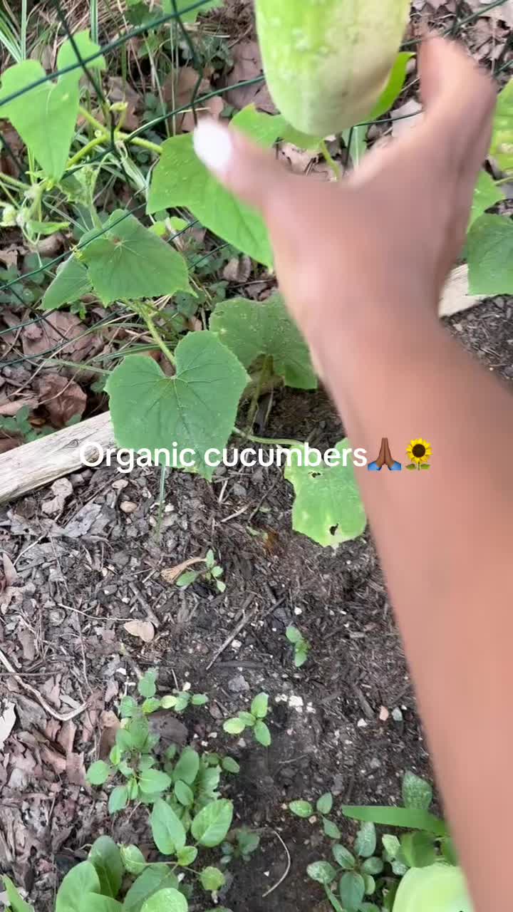 @prettypaulette66