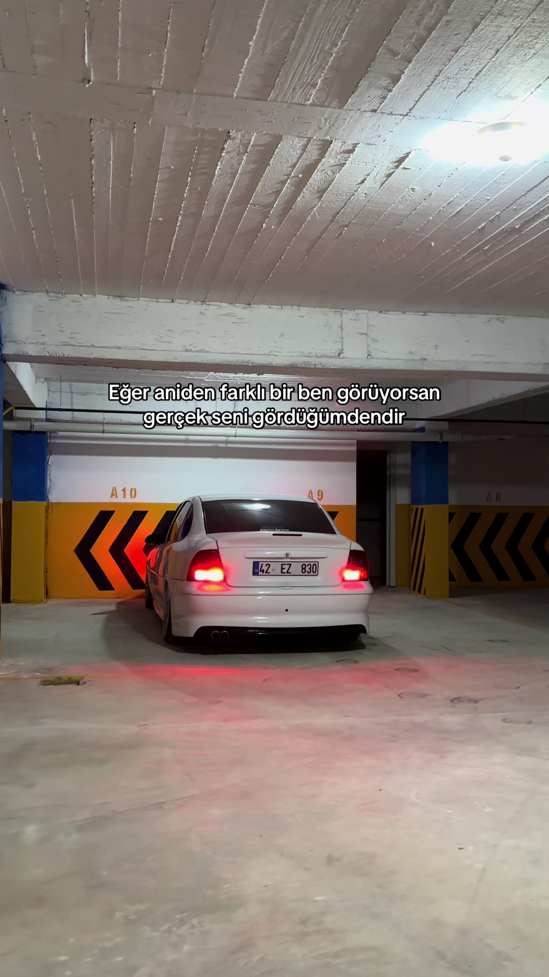 @𝓜𝓮𝓿𝓵𝓾𝓽 𝓔𝓶𝓻𝓮