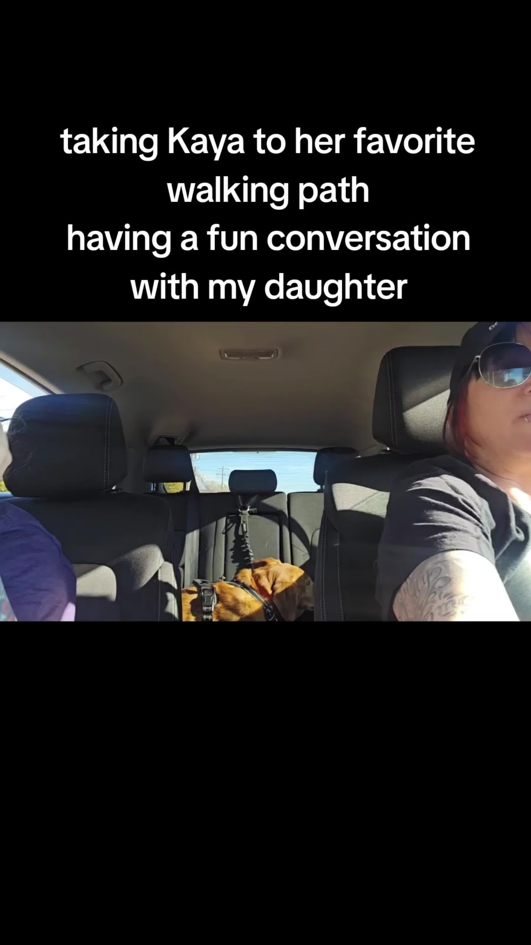 @beehamler