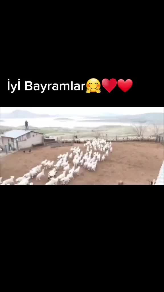 @LondraEvYemekleri🫶