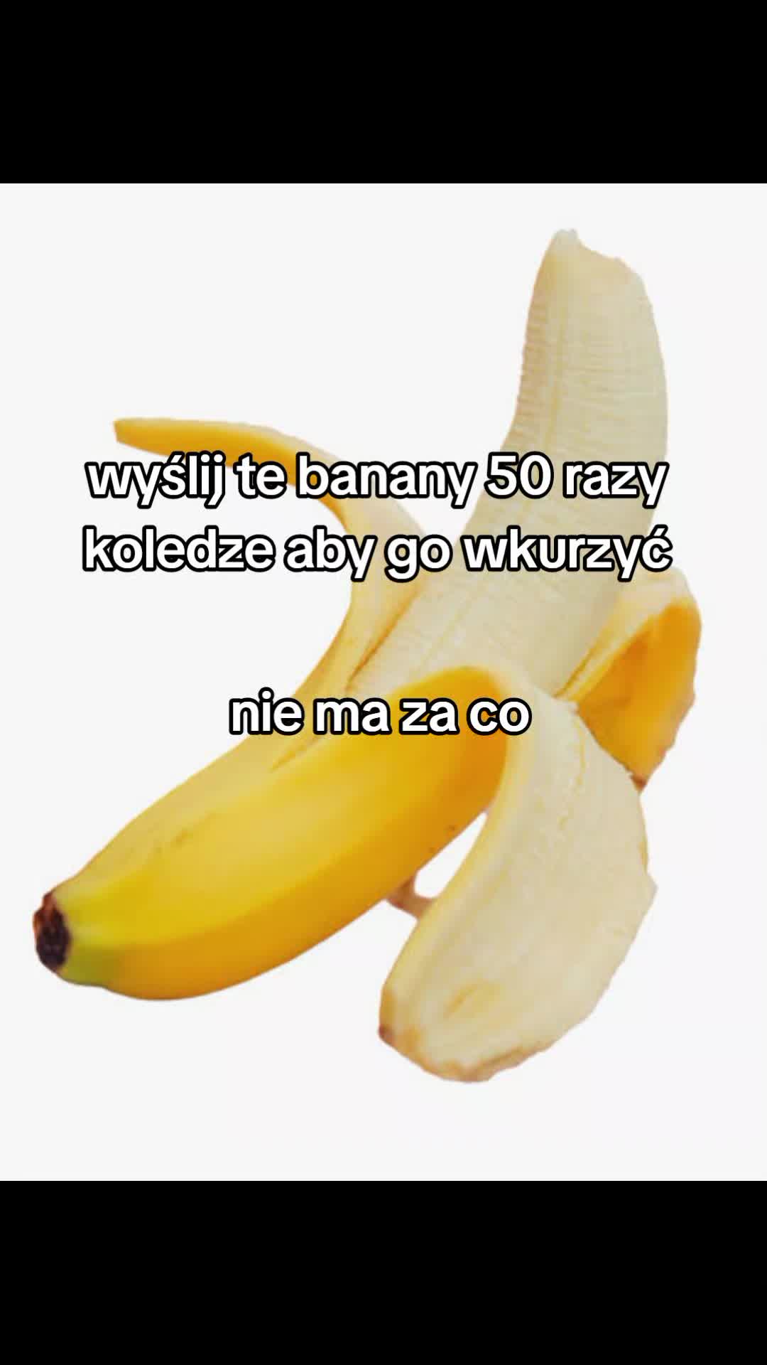 @_Marchewa_🇵🇱_