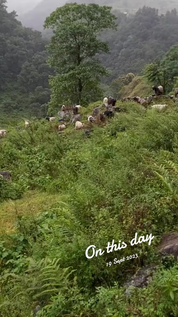 @Mukti Adhikari 999