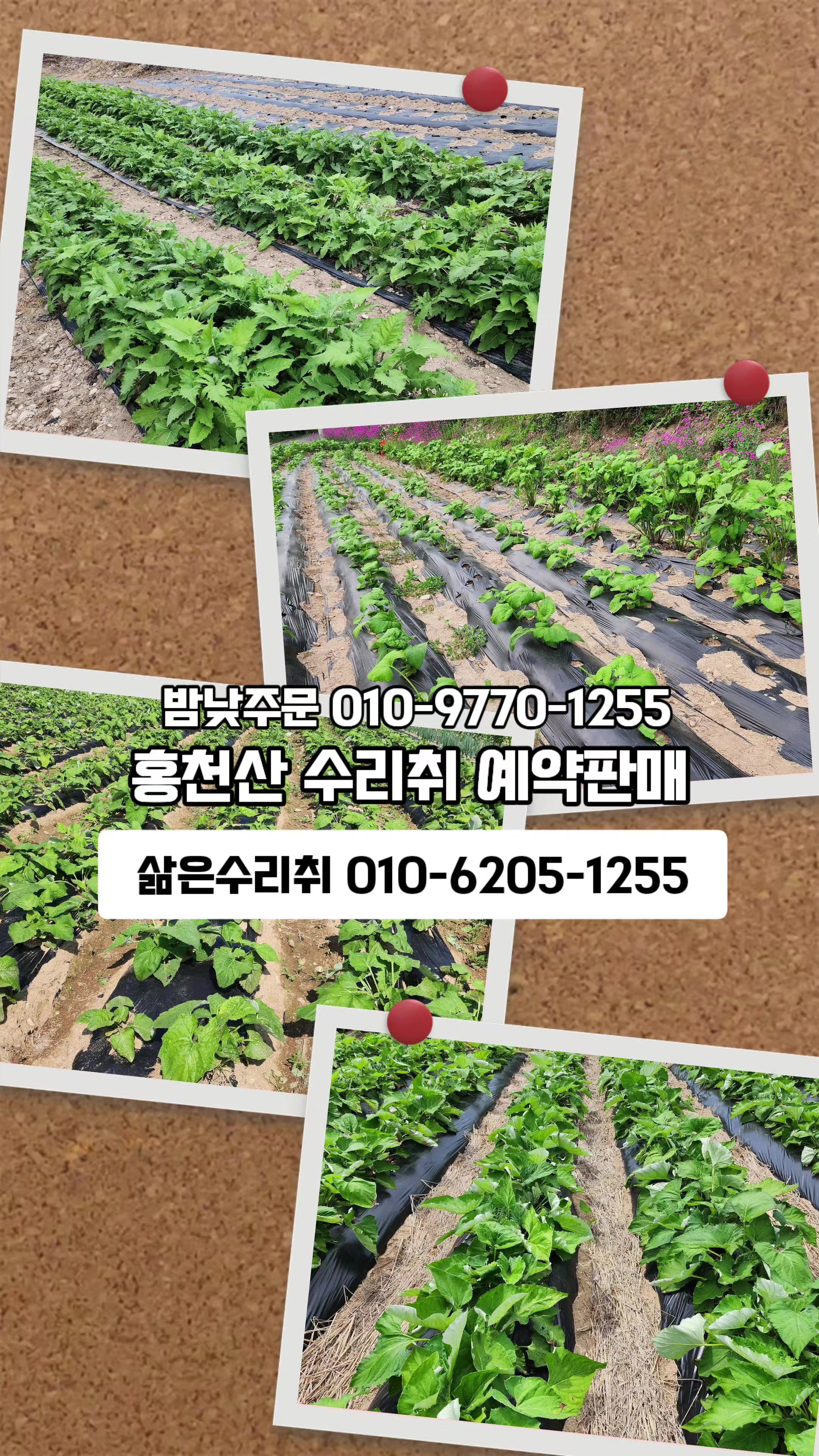 @🔥고물급남자