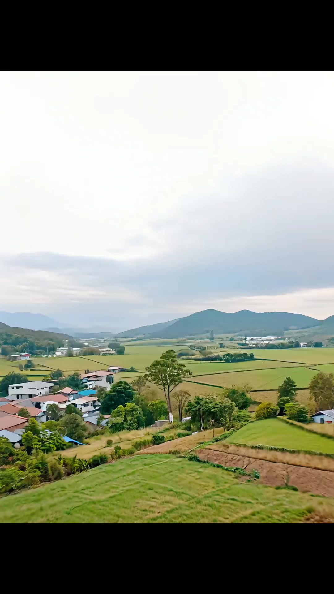 @𝗠𝗣 𝗦𝘂𝗯𝗲𝗱𝗶