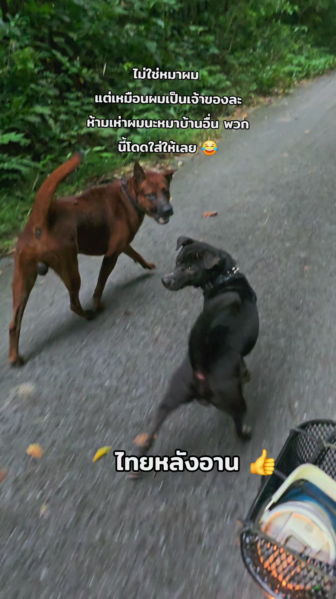 @อาร์ม วุฒิกร