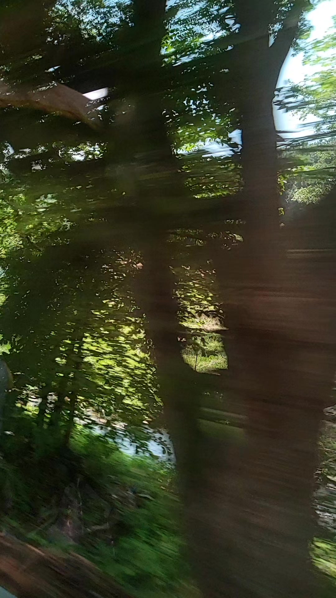 @쿠먕