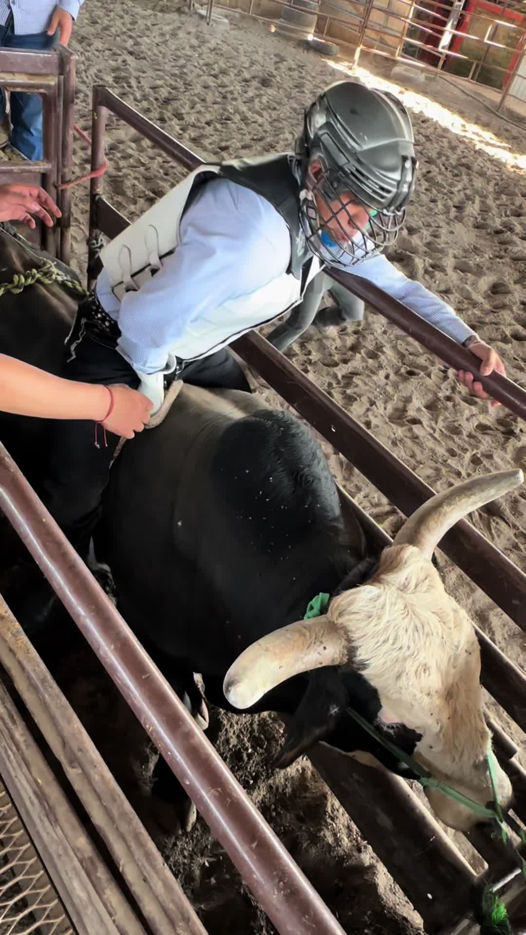 @Charrini toys bull riding