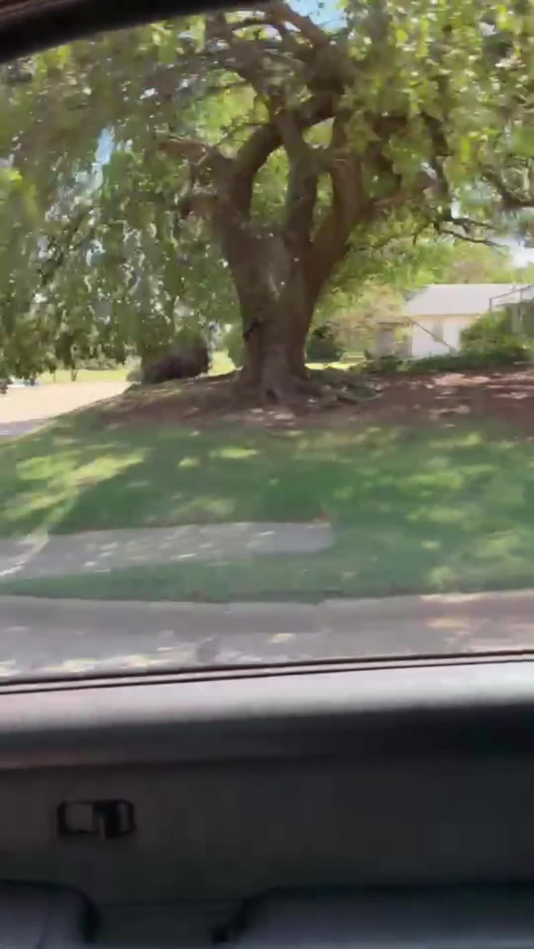 @DJ