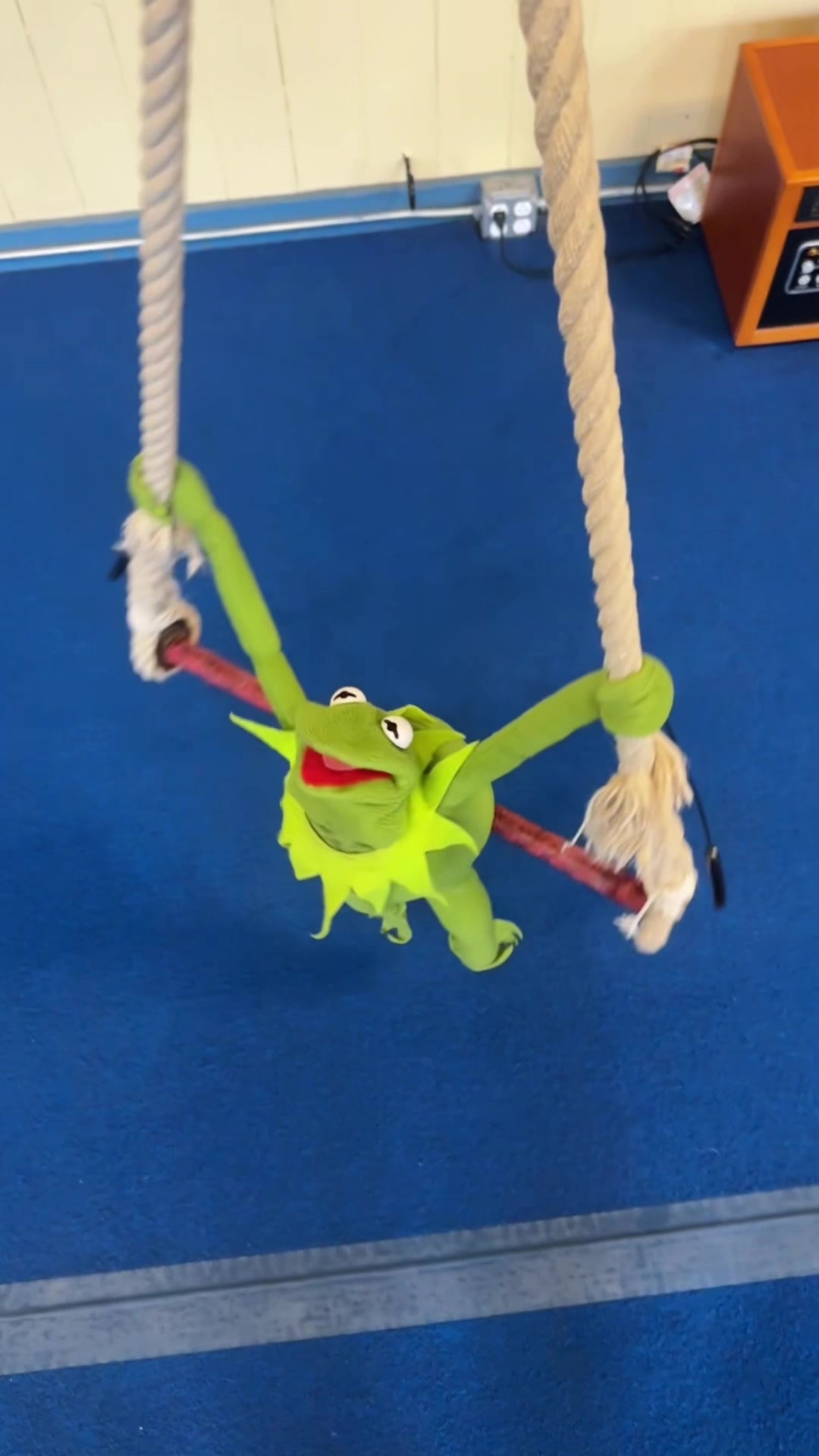 @🐸 Crashout Kermy 🐸