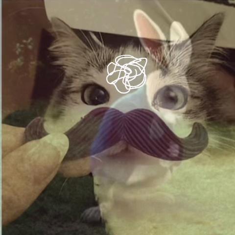 @6๏ธโฃโก๐๐ถ๐๐พ๐นโ7๏ธโฃ