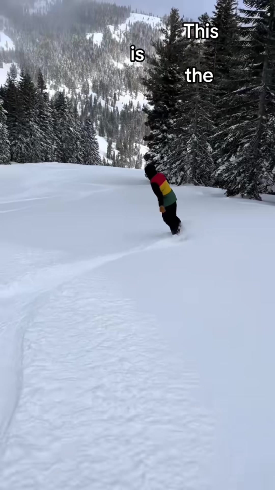 @tahoe.lex