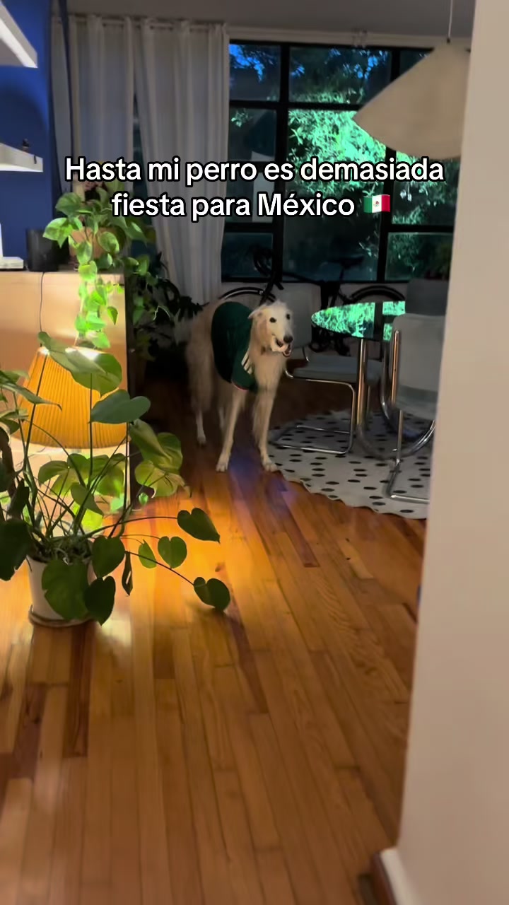 @Alexiiiiiiia