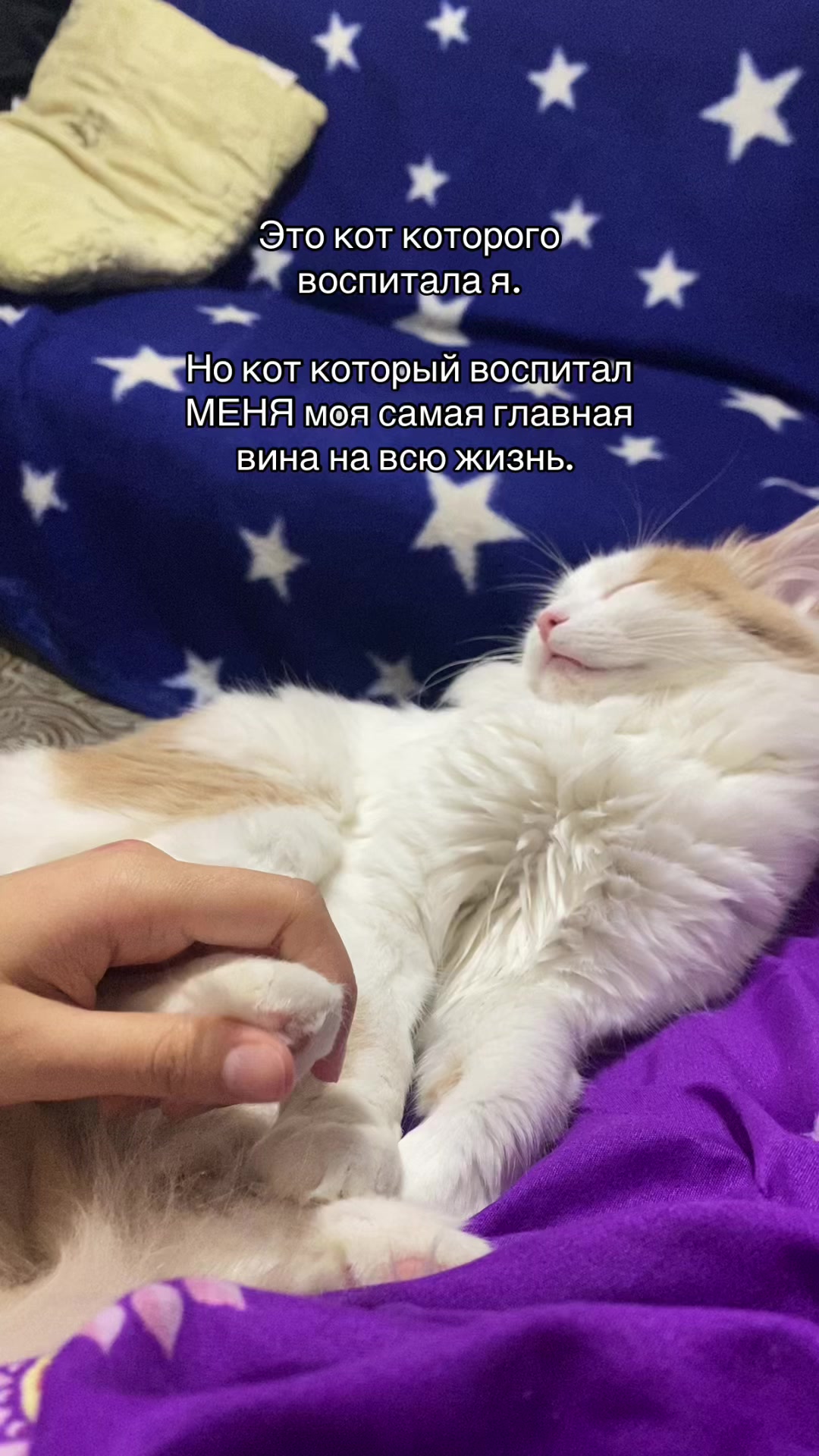 @1___xz____1