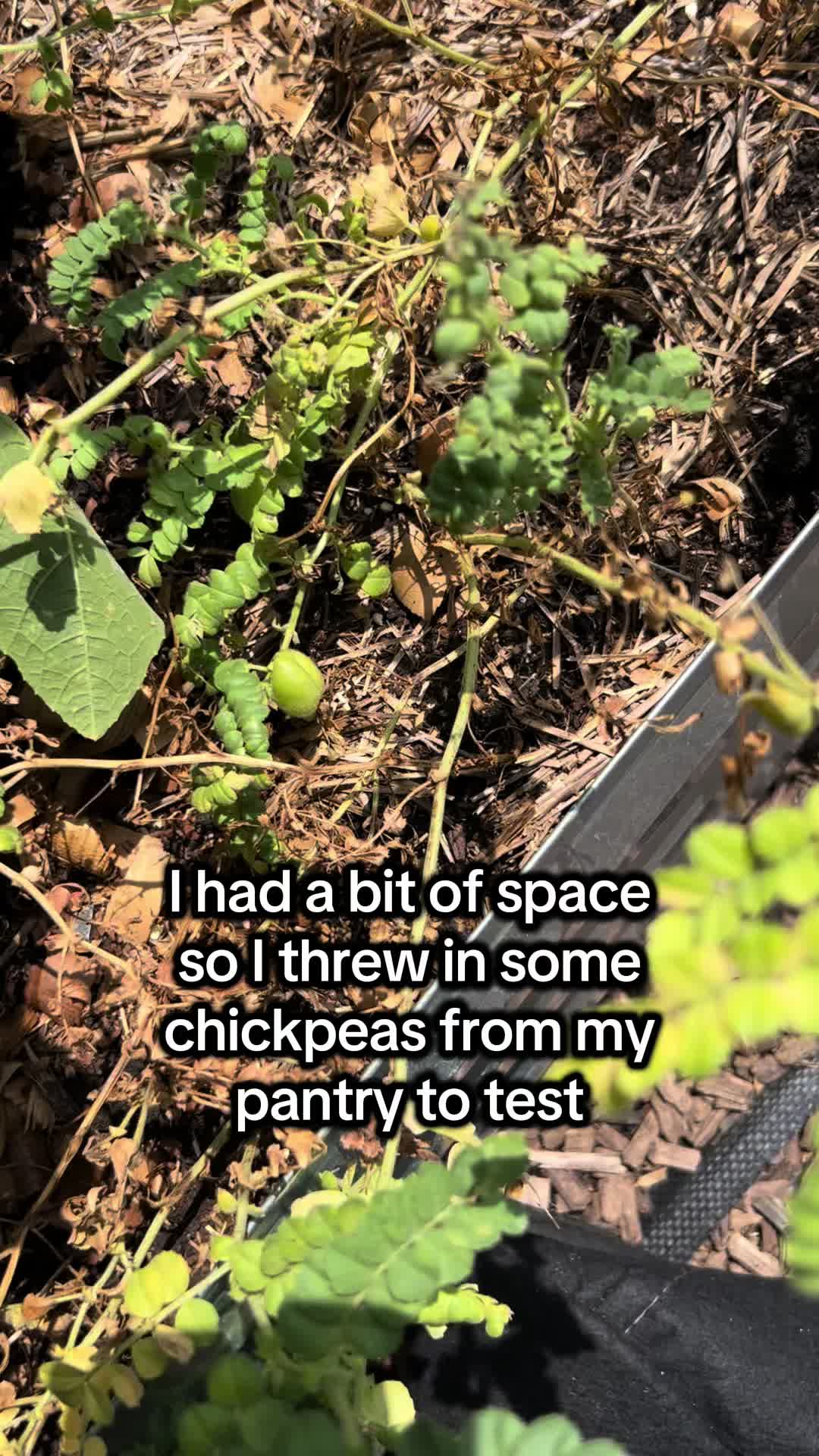 @District Gardening
