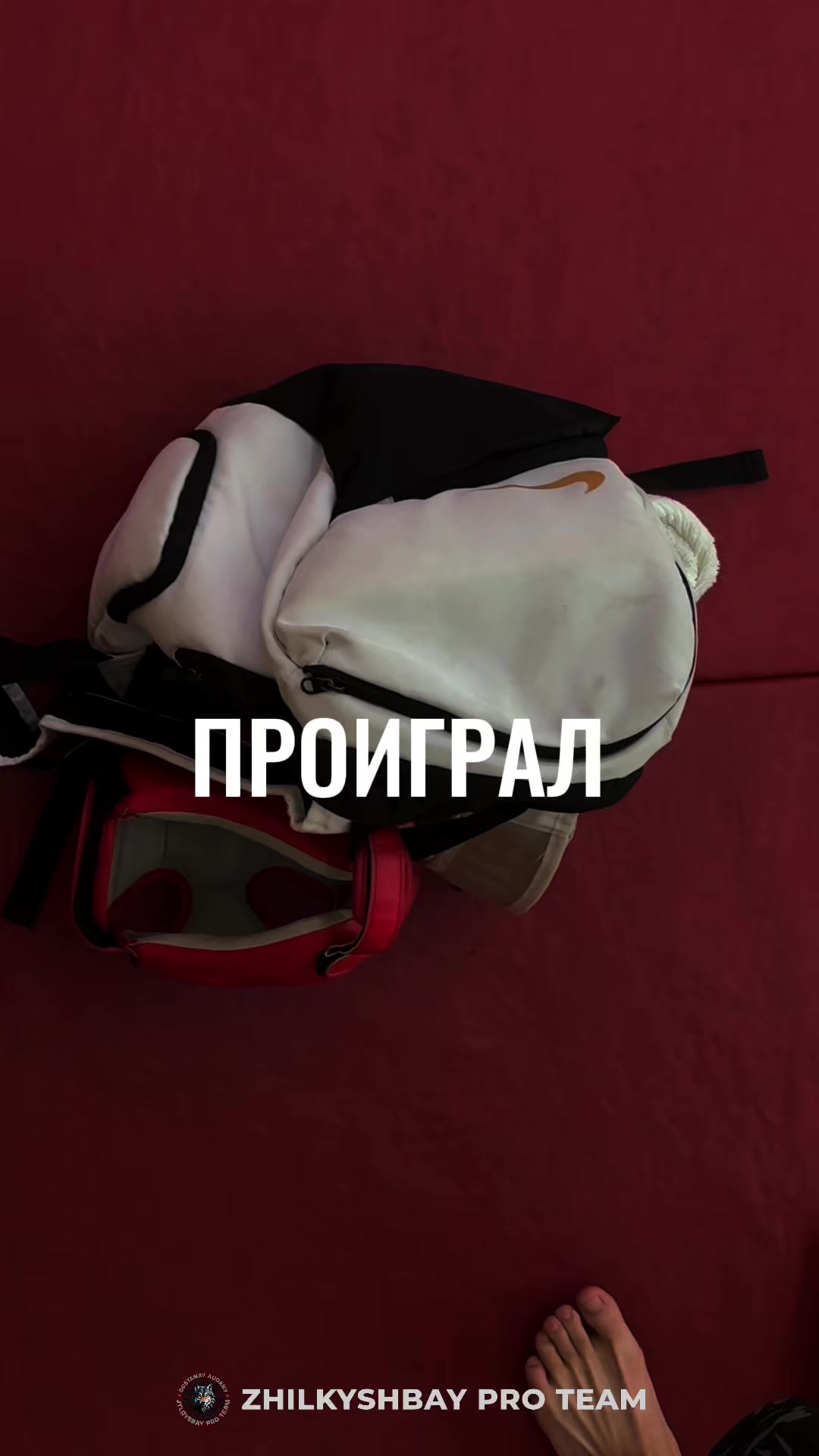 @zhilkyshbay.pro.team