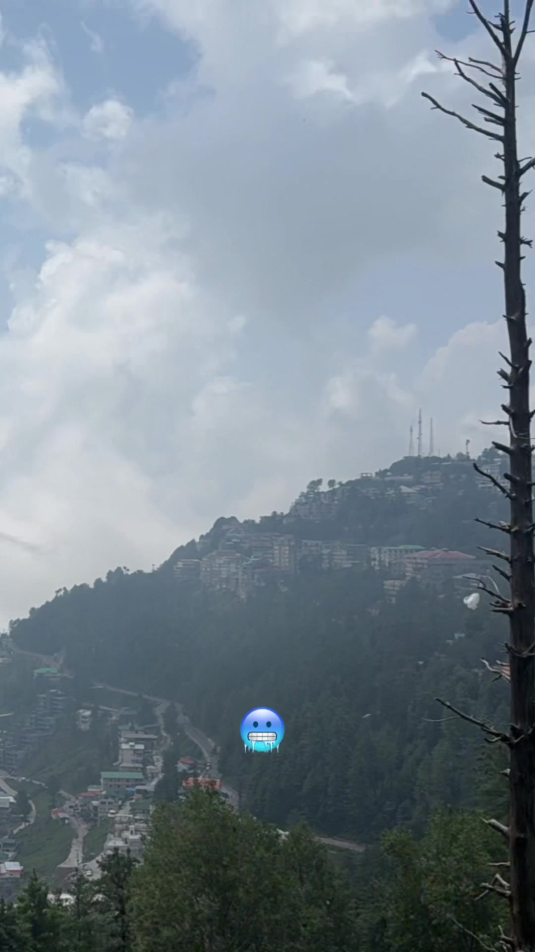 @Shahzaib Ali