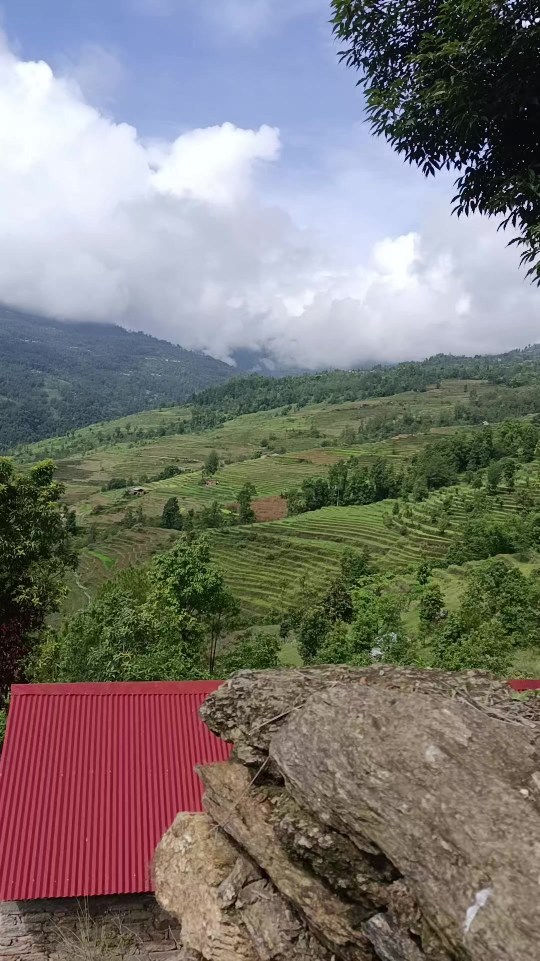 @Krishna Karki