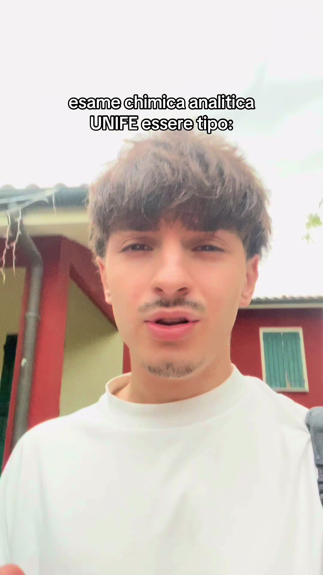@spinanicolaa