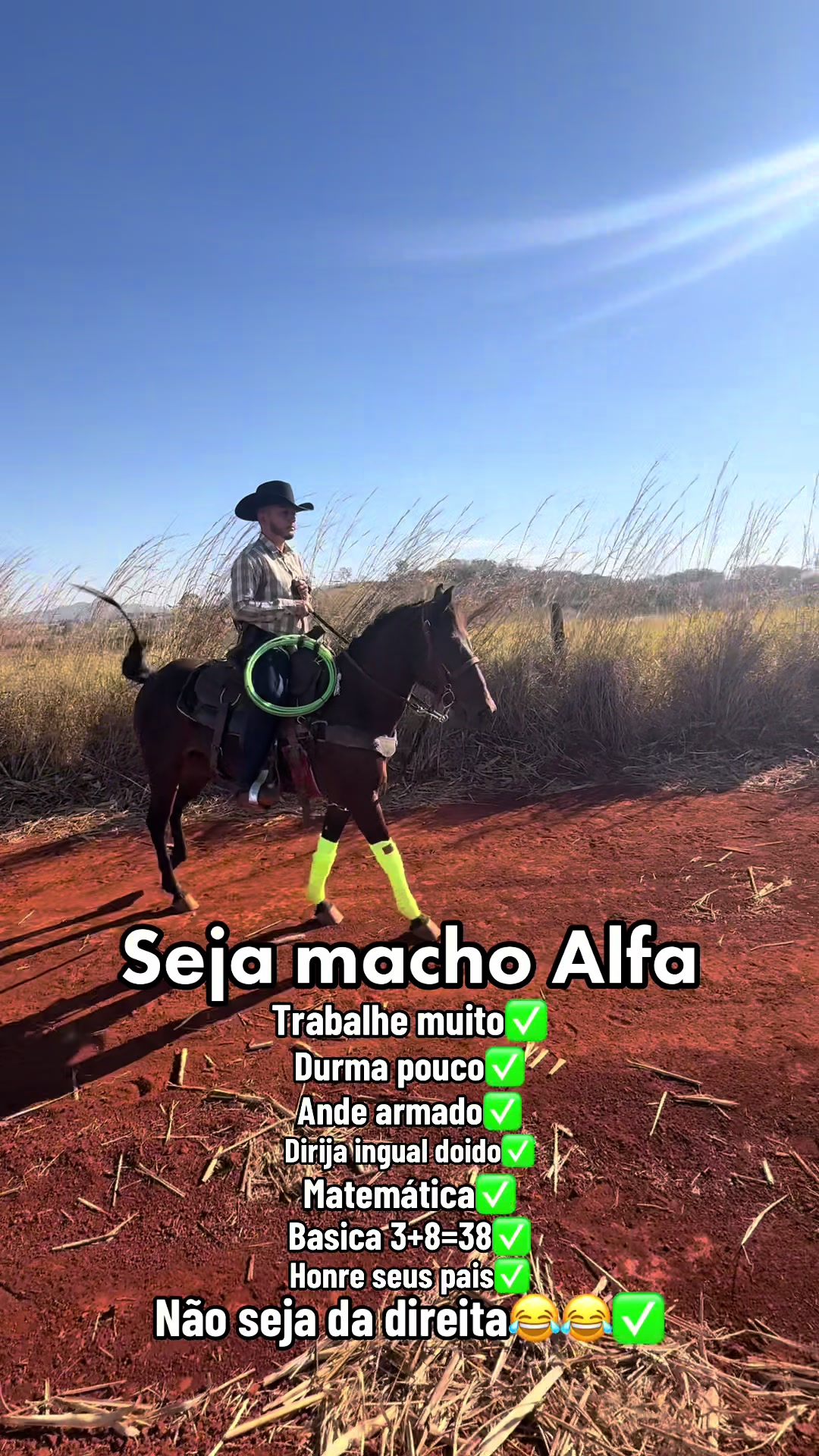 @mateusandrade9837