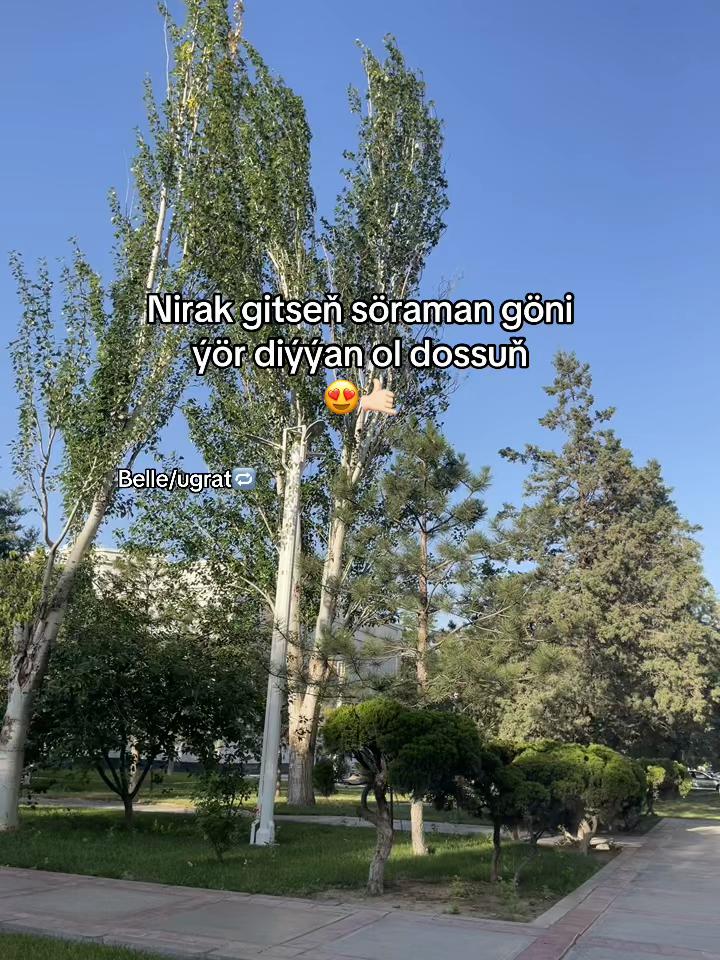 @𝓐𝓻𝓼𝓲𝓲__𝟕 