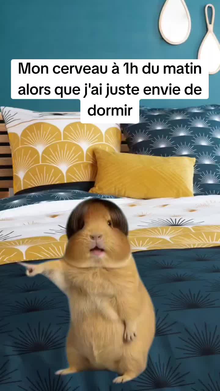 @JéRéM