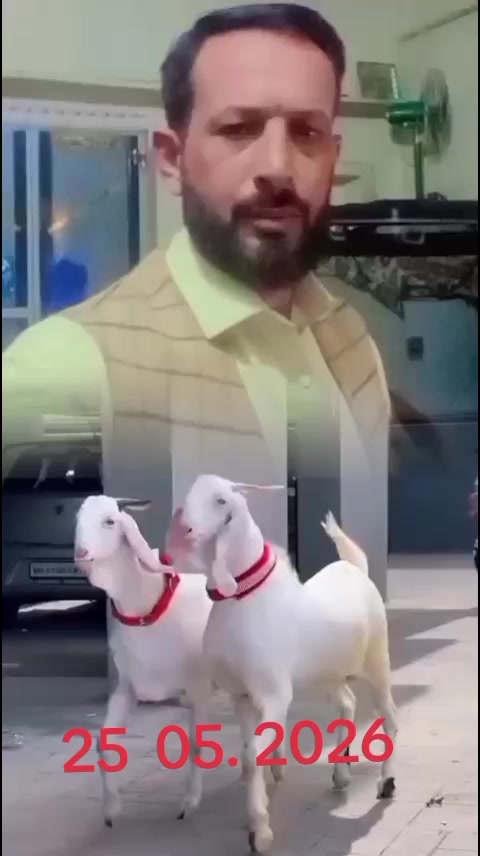 @tanzeem199